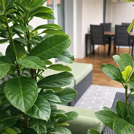 Design - Alpenluxus Collection