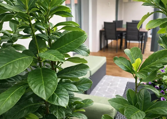 Design - Alpenluxus Collection